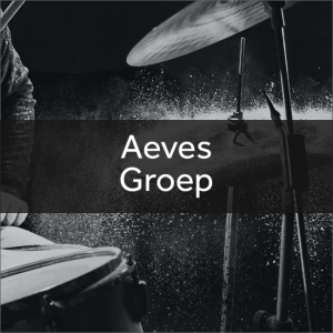 Aeves Groep