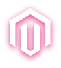 AFAS – Magento koppeling