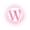 WordPress website